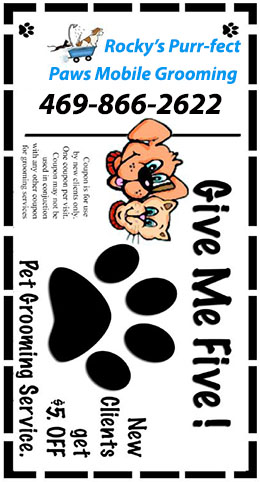 dog grooming coupon